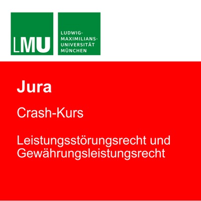 LMU Crash-Kurs Leistungsstörungsrecht und Gewährleistungsrecht:Professor Dr. Stephan Lorenz