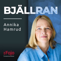 4chan och kunskapsresistens. Med Jonathan Lundberg, Andreas Önnerfors och Annika Hamrud.