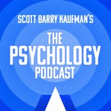 Richard Ryan || ﻿Self-Determination Theory & Human Motivation podcast episode