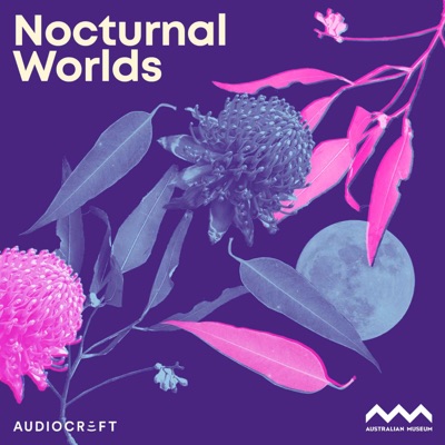 Nocturnal Worlds:Audiocraft