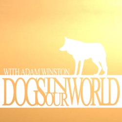Dogs and Leadership