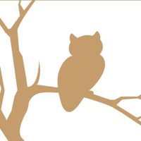 Episode 1 - Zak Beck and Zach Jenkins