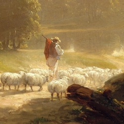 The Lost Sheep of Prospect Park