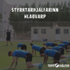 Styrktarþjálfarinn - Toppþjálfun