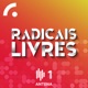 Radicais Livres (3ª Série)