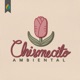 Chismecito Ambiental