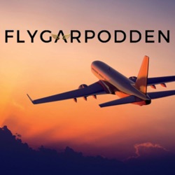 Den blivande piloten