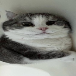 Преподобие Ф