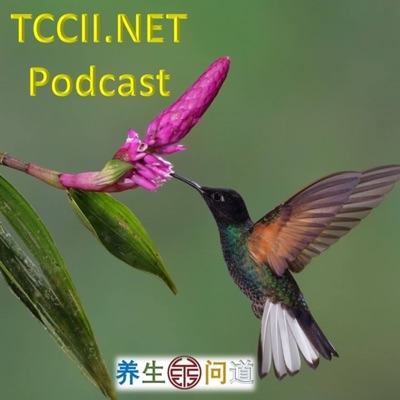 TCCII Podcast 问道播客