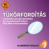 Tükörfordítás