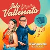 Solo Vallenato