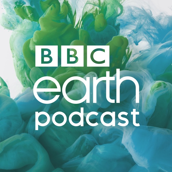 Introducing: BBC Earth Podcast photo