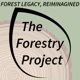 Ep. 9: Your Forests Effect on Wildlife with Drew Metzler