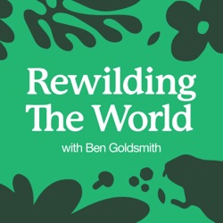 Rewilding without borders with Werner Myburgh