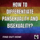 Is It Bisexuality Or Pansexuality?
