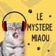 Les visites d’un catsitter, pendant les vacances des humains (BONUS)