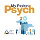 My Pocket Psych: The Psychology of the Workplace