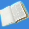 La Biblia Reina Valera 1960 - Brian Almeida