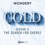 The Search For Sheree | Talking Cold: Burning Questions with Dave Cawley