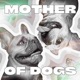BONUS EP13 Behind The Bark: Unleashing the Highlights from Season 1 of the Mother of Dogs Podcast