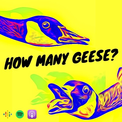 How many geese?