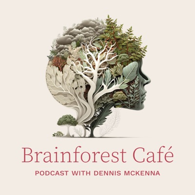 Brainforest Café Brainforest Café
