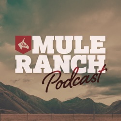 Steve Reviews Mule Photo for Problems, Reasons to Tandem Drive, Hackamore No-Nos, and Much More