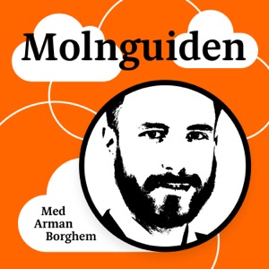 Molnguiden