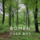 Bomen over bos