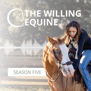 The Willing Equine