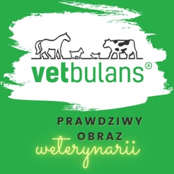 vetbulans