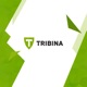 Tribina podcast