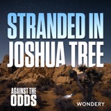 Stranded in Joshua Tree