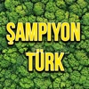 Şampiyon Türk