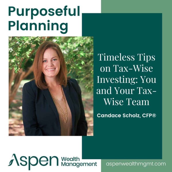 Tax-Wise Investing Tips: You & Your Tax-Wise Team, Part 1 photo