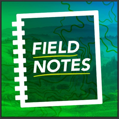 Field Notes