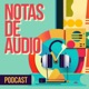 Notas de Audio