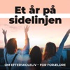 Et år på sidelinjen