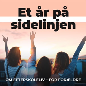 Et år på sidelinjen