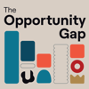 The Opportunity Gap - Understood