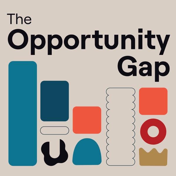 The Opportunity Gap Artwork