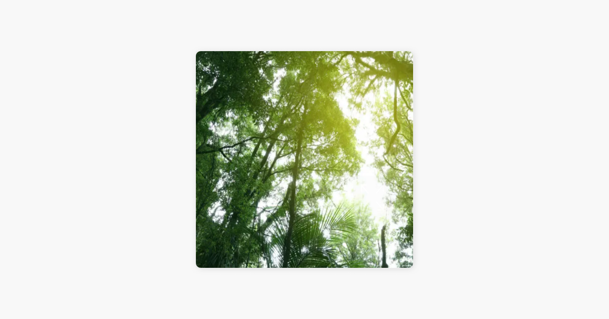 to the Jungle LifeHack 2024 Part 1 on Apple Podcasts