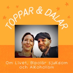 Toppar & Dalar - Om Livet, Bipolär sjukdom och Alkoholism
