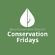 Conservation Fridays