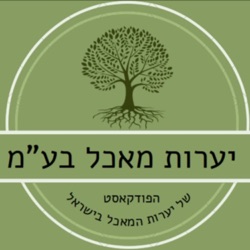 03 - סוגי יערות מאכל בישראל