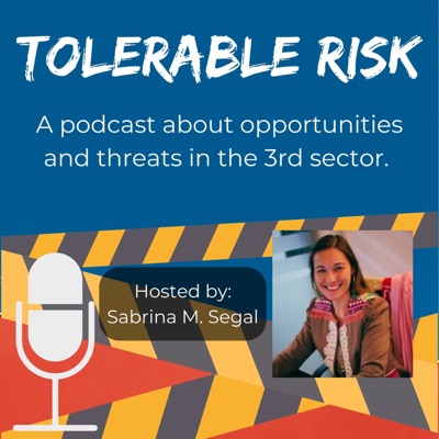 Tolerable Risk: Threats and Opportunities in the 3rd Sector