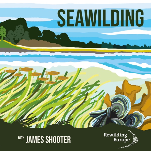 #2 Seawilding - Scotland 🏴󠁧󠁢󠁳󠁣󠁴󠁿 photo