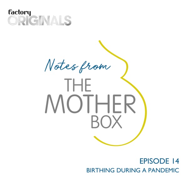 Episode 14 : Top Tips for Birthing In A Pandemic photo