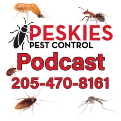Peskies Pest Control Birmingham Alabama Podcast