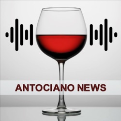 Antociano News #72 | Vino lata, Paraguas viñedos, Cápsula plástico, Viñedos Burdeos, Ventas rosado